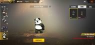 Detective Panda Pet in Free Fire